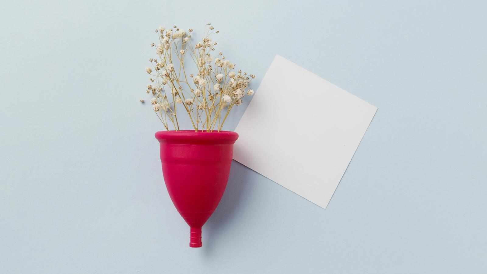 Top 8 Tips to Make the Use of a Period Menstrual Cup Simple