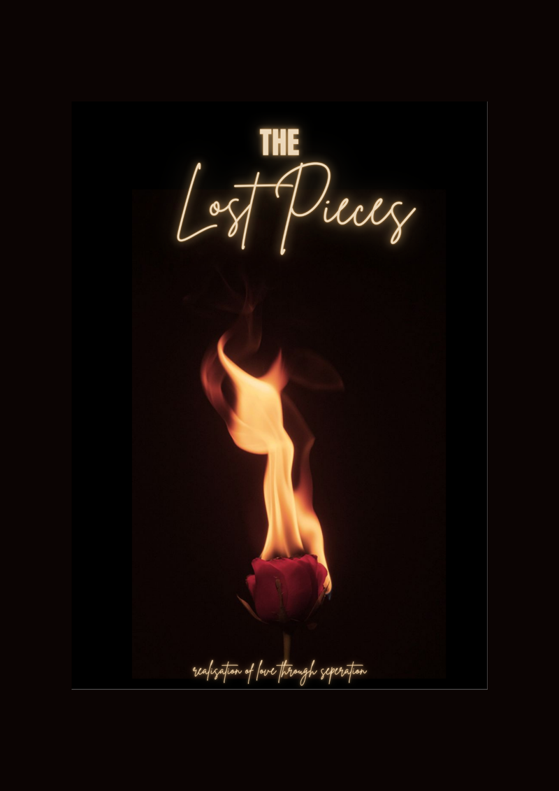 The lost pieces