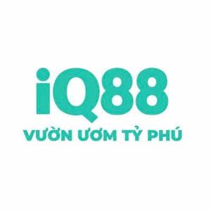 iq88city1