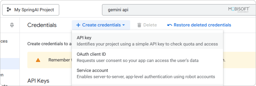 Generating API key for Google Gemini in Google Cloud Console