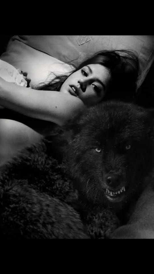 Wild Pet Animal 🔞
