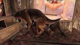 A Woman Is Raped By Her Pet Dog And Finds That She likes It Better Than Sex With A Man...