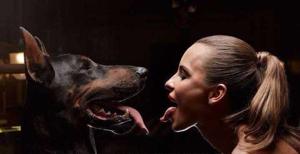 My First Time Babysitting A Dog I Was Raped By My Neighbor's Bullmastiff