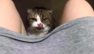 My Cat licked My Pussy 🥵🔥