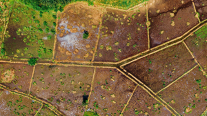 Upcoming Trends in Plot Development You Should Know