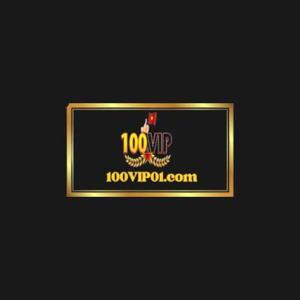 100Vip