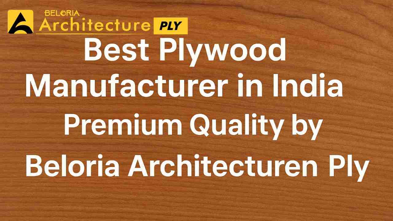 Best Plywood Manufacturer in India | Premium Quality by Beloria