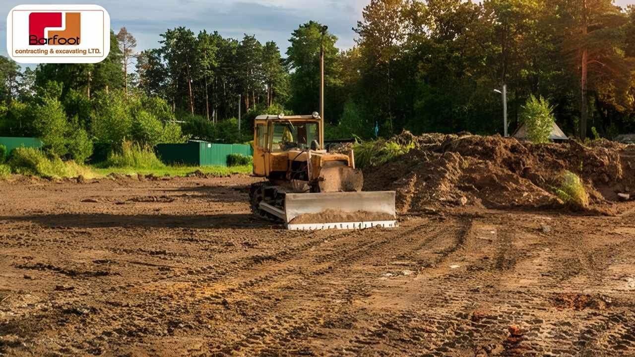 Why Lot Clearing Is the First Step to a Better Property