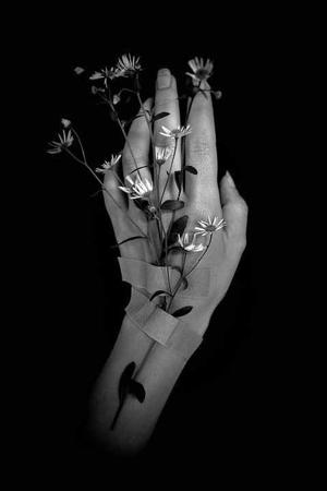 Chapter 6 ( suicide)