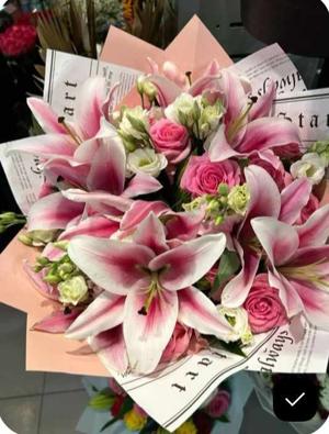 Chapter 66 (जानते हैं कि कुछ equations समझाने से नहीं चलती।)