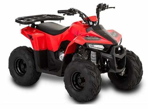 Safe & Reliable Kids ATV Built with Utility-Grade Strength