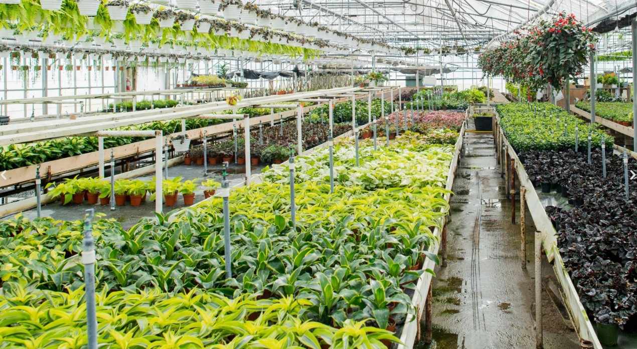 Revolutionizing Indian Farming: The Rise of Smart Cultivation & Biotech Farming in 2025