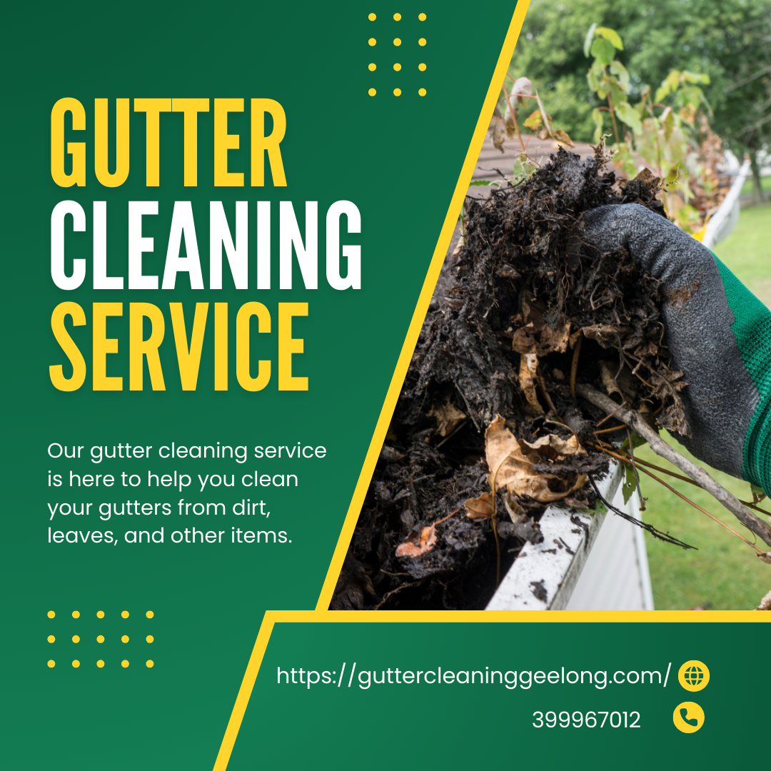Seasonal Gutter Cleaning in Mannerim: Checklist for Homeowners