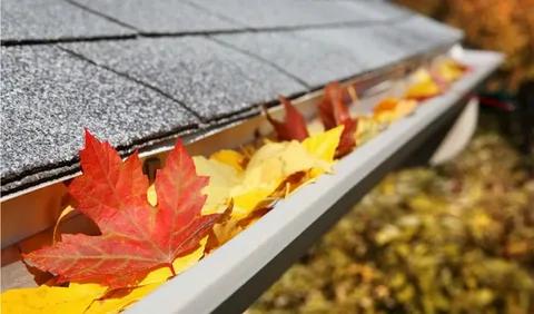 Which Local Businesses Handle Gutter Cleaning for Homes in Tarneit?