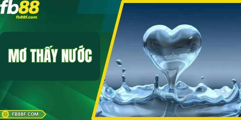 Mo Thay Mua To, Bao Lu – Bien Dong Gi Sap Toi? Gan Voi Con So Nao?