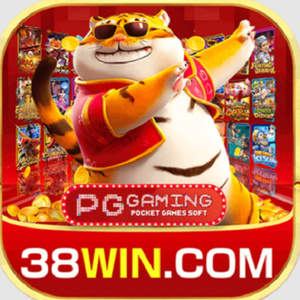 38wingamecombr