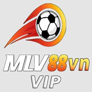 CEO MLV88