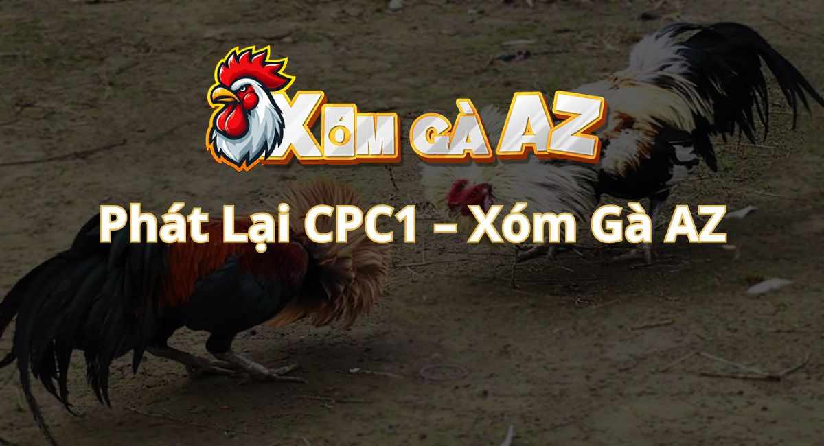 Phát Lại CPC1 – Xem Lại Các Trận Đá Gà Tại Bồ Gà CPC1