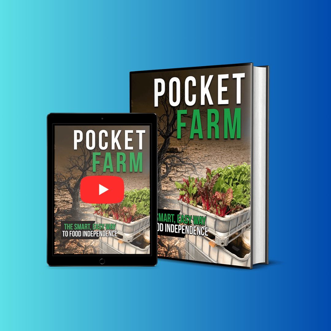 Pocket Farm 2025: Top Mistakes to Avoid for a Perfect Setup and Thriving System