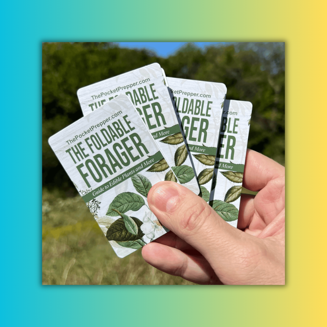 🚨 11 Explosive Myths About The Foldable Forager Reviews and Complaints 2026 USA — What Most Americans Still Believe (And Why They’re Wrong)