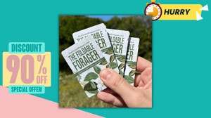 🚨 5 Overlooked Gaps in The Foldable Forager Reviews and Complaints 2026 USA — The Missing Pieces Most Americans Don’t See (Until It’s Too Late)
