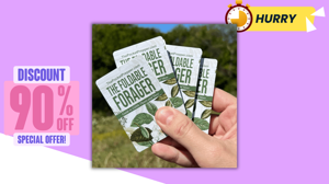 🚨 7 Common Mistakes You’re Probably Making With The Foldable Forager Reviews and Complaints 2026 USA (Stop Now!)