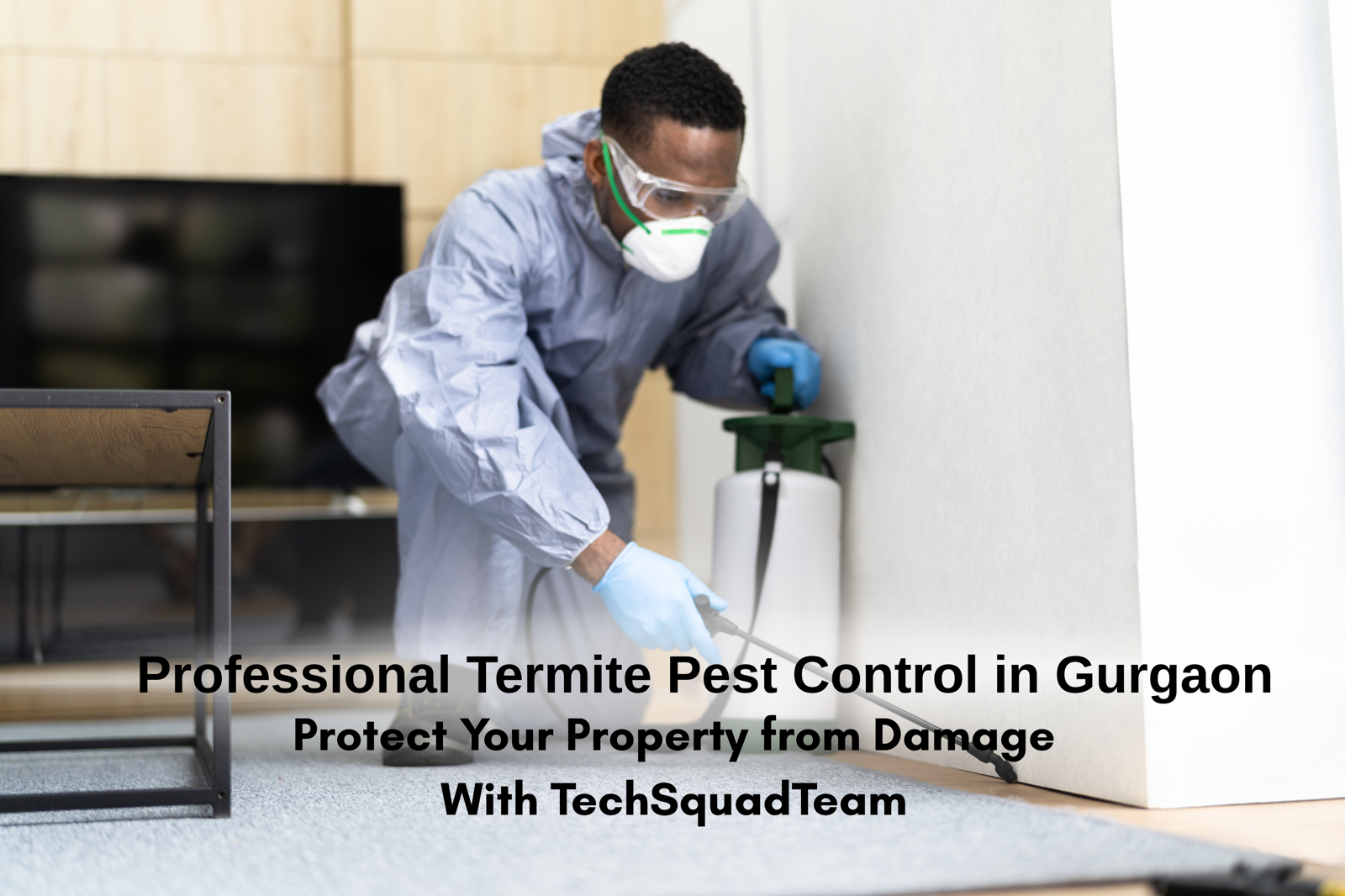 Termite treatment in Gurgaon