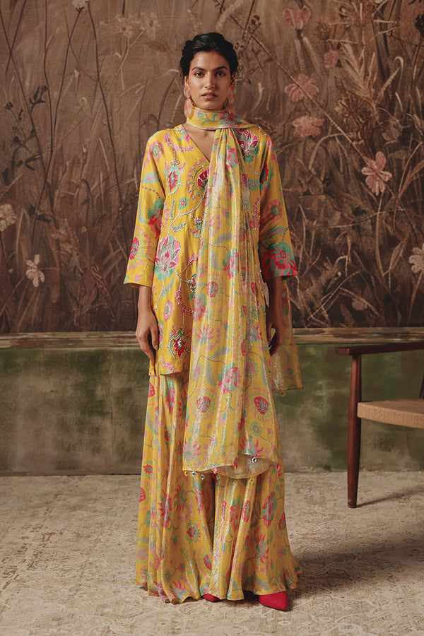Complete Buying Guide: How to Choose the Perfect Designer Sharara Set for Your Body Type