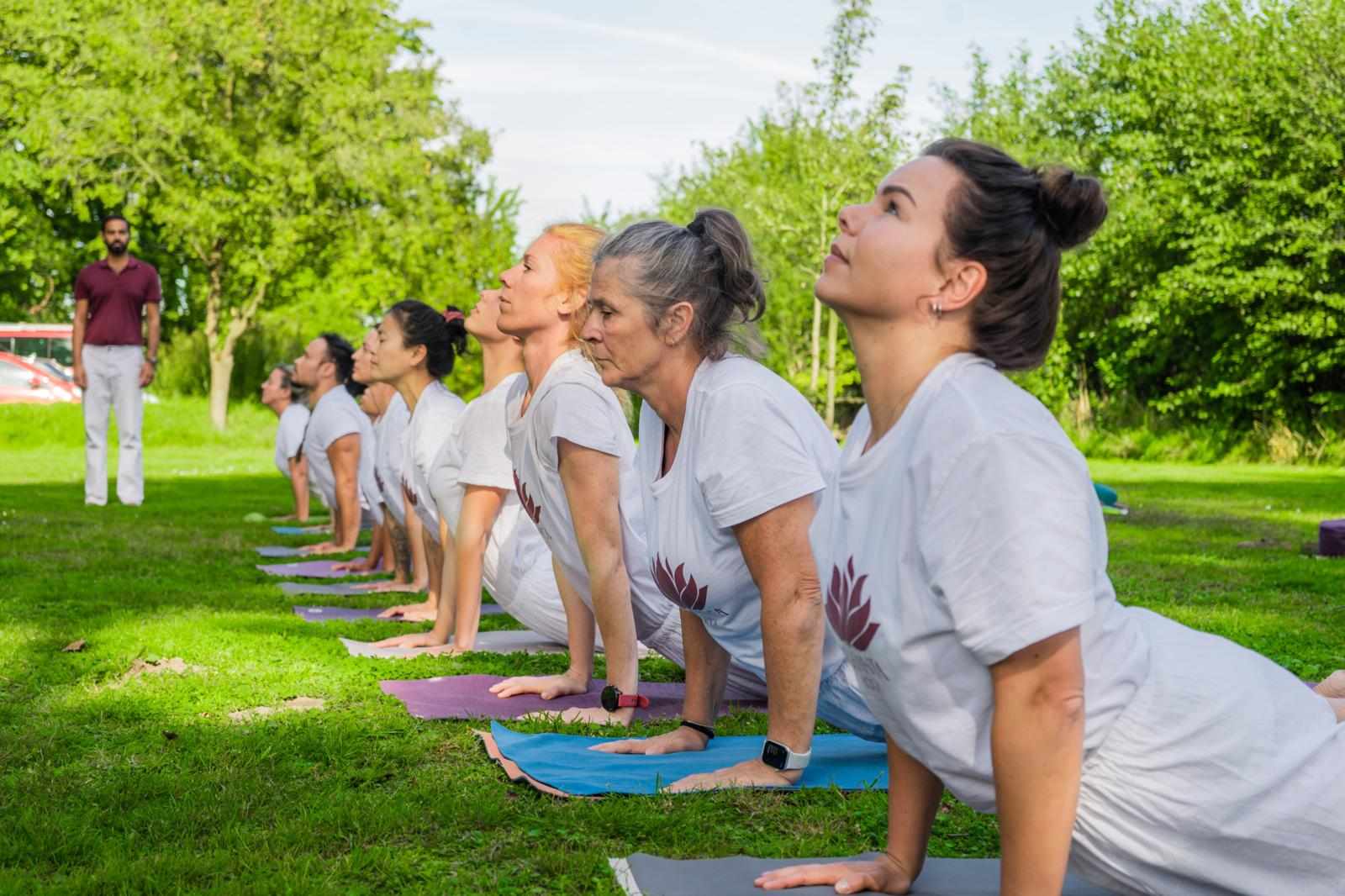 Hatha Yoga for Beginners