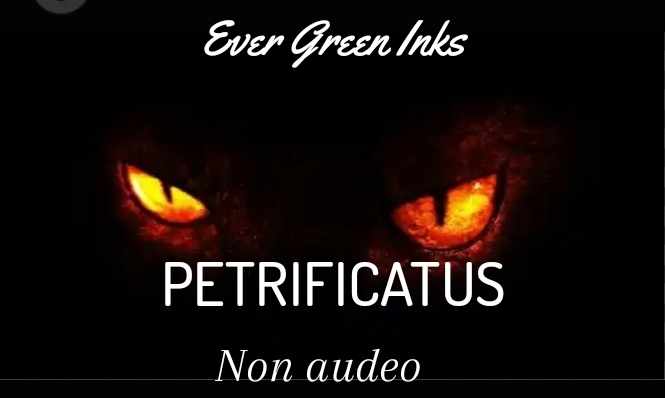 Petrificatus: PT 3