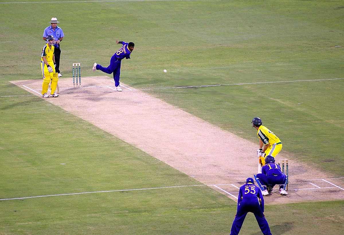 Beginner’s Guide to Cricket Betting Apps: Tips & Tricks