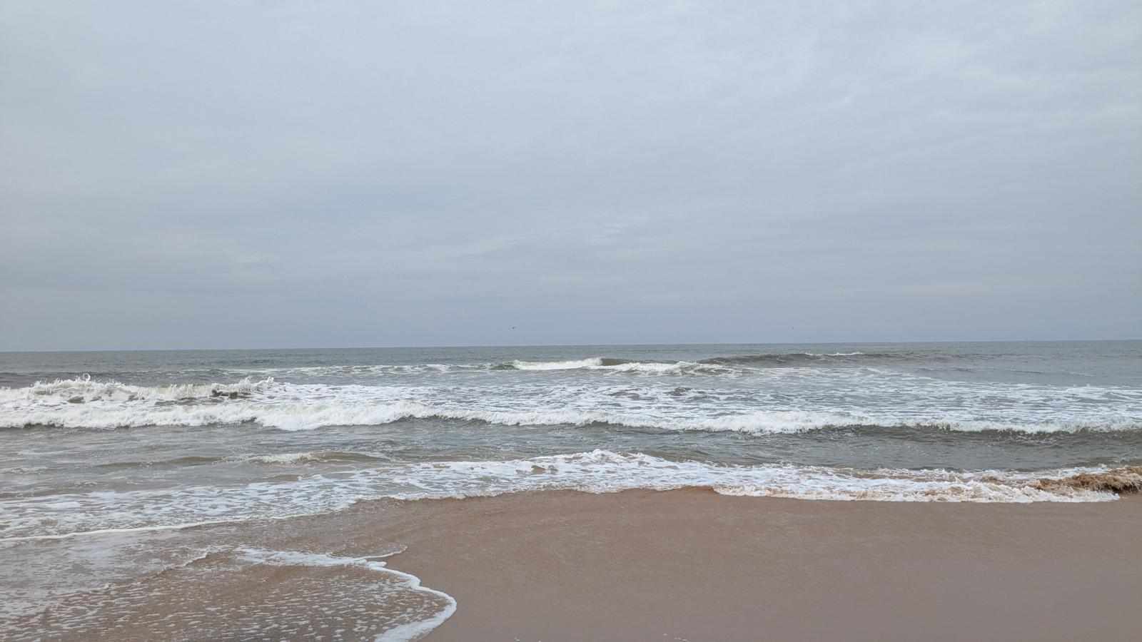 Ancestral Resilience