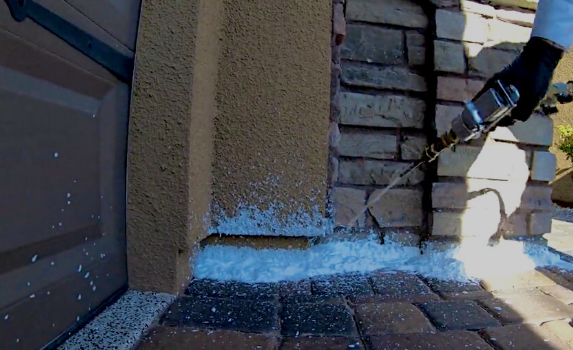 Protect Your Home with Expert Las Vegas Scorpion Control Services