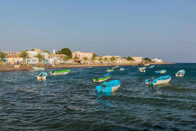 Djibouti eVisa for Turks and Caicos Islands Citizens