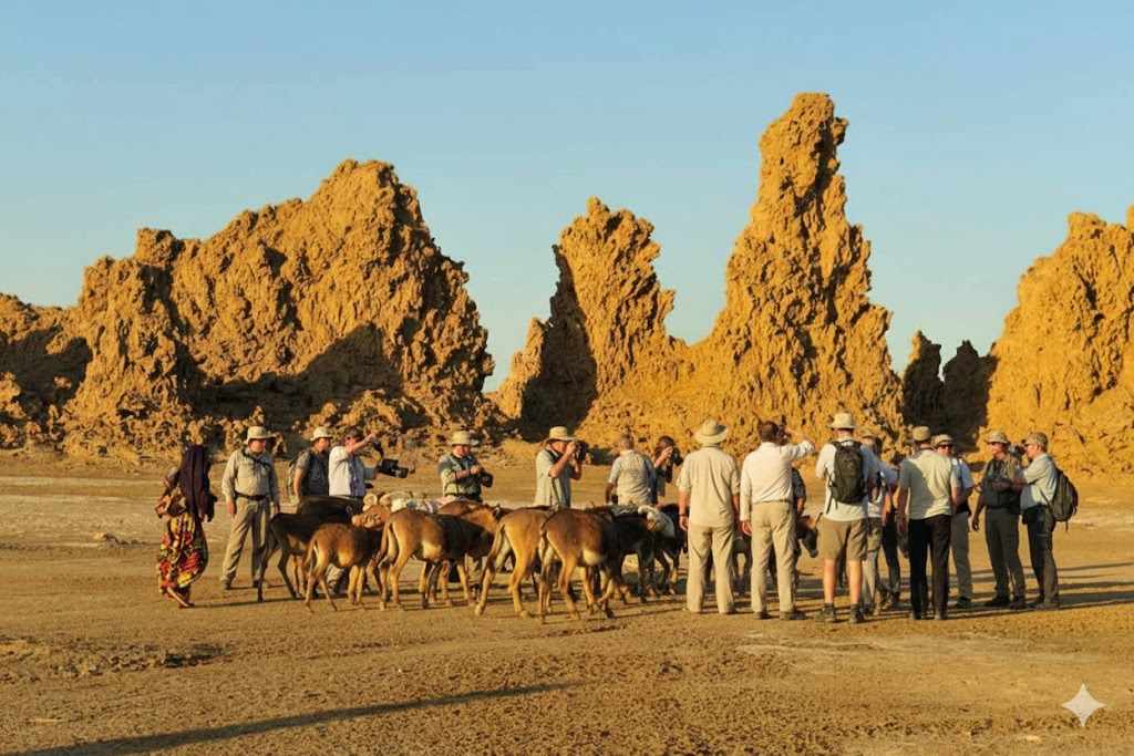 Djibouti eVisa for Citizens of Palau