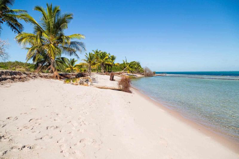 Mozambique eVisa for Mexico Citizens – How to Apply & Processing Time