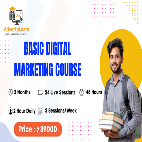 Basic Digital Marketing Course