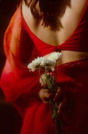 Velvet Sins ✨✨🌟 logo