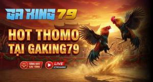 Hot Thomo - Tổng Hợp Các Trận Gà Hay Nhất Thomo Tại GAKING79