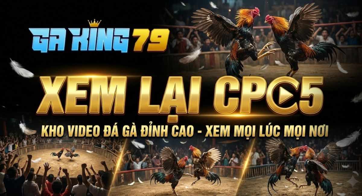 Video Đá Gà CPC5 – Tuyển Tập Các Trận Đá Gà Hấp Dẫn Nhất Tại Bồ Gà C5 Trên GAKING79