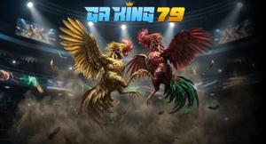 Video Đá Gà Xà Xía – Xem Lại Các Trận Đá Gà Tại Bồ Gà Xà Xía Hà Tiên