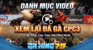 Xem Lại CPC3 - Tổng Hợp Các Trận Thư Hùng Đỉnh Cao Bồ CPC3 Tại GAKING79
