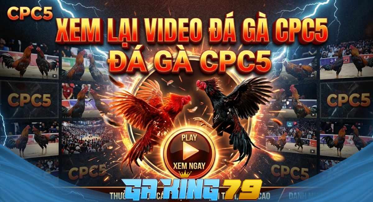 Video Đá Gà CPC5 – Tuyển Tập Các Trận Đá Gà Hấp Dẫn Nhất Tại Bồ Gà C5 Trên GAKING79