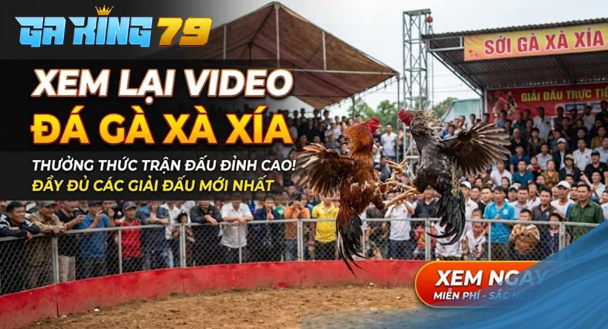 Video Đá Gà Xà Xía – Xem Lại Các Trận Đá Gà Tại Bồ Gà Xà Xía Hà Tiên