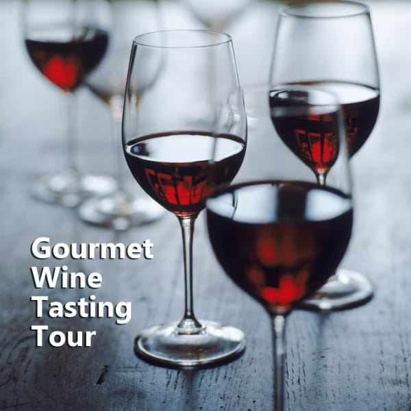 Private Tours Madrid Spain: The Best Tapas and Wine Experience