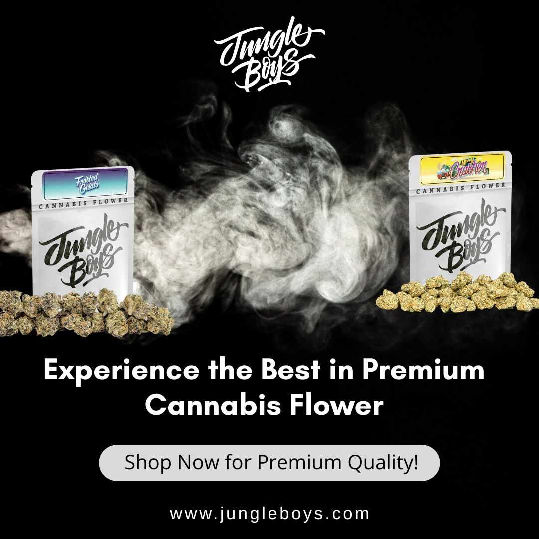 Buy Premium Cannabis Flower from Jungle Boys DTLA