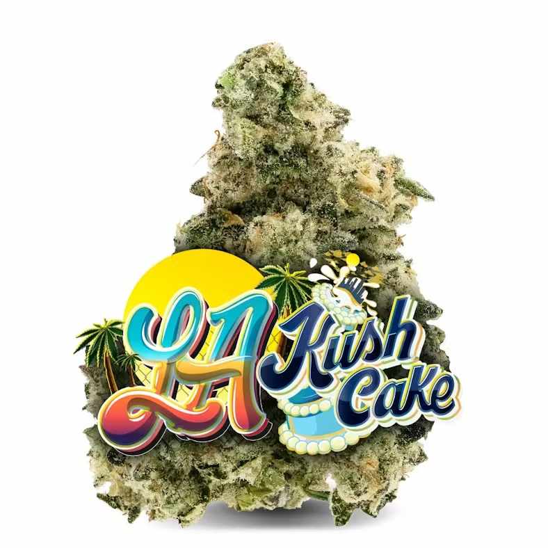 Buy Jungle Boys Pre Rolls – Consistent Quality, Anytime