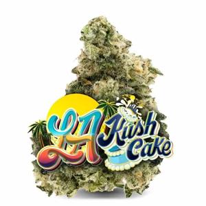 Buy Jungle Boys Pre Rolls – Consistent Quality, Anytime