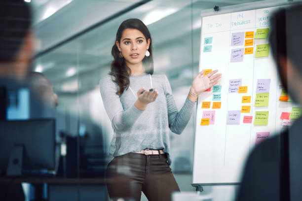 1.     The Influence of a Female Executive Coach