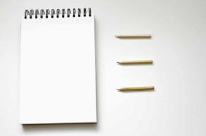 How do professional writers manage tone and style across different academic levels?